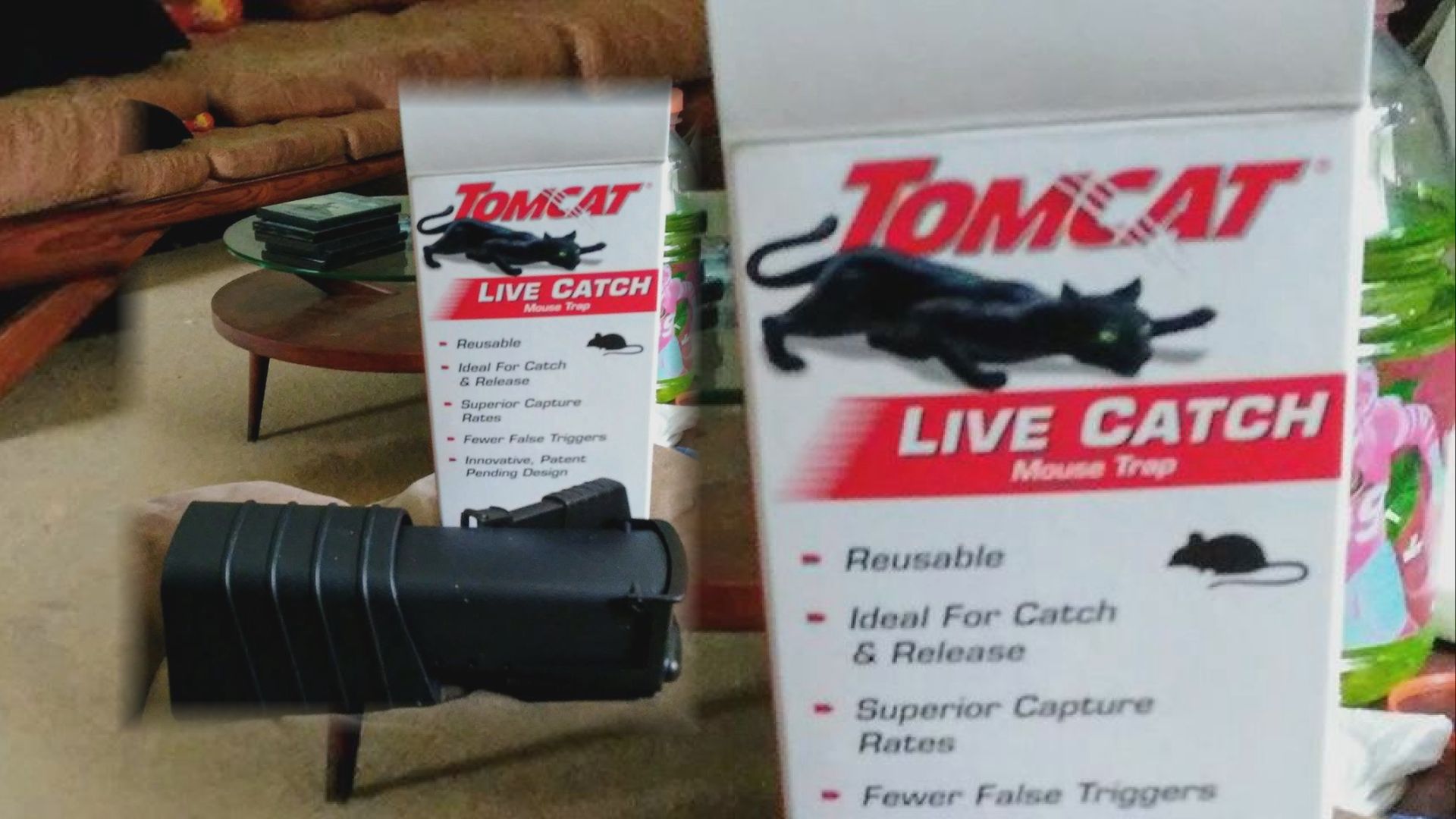 Does the Tomcat Mouse Trap Work?